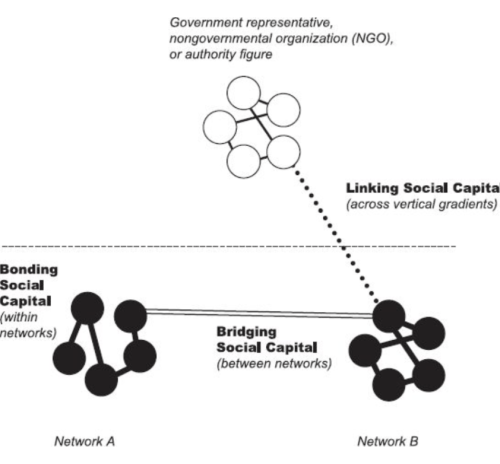 Social Capital