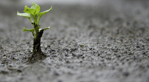 Screen Shot 2013-04-04 at 11.20.15 AM