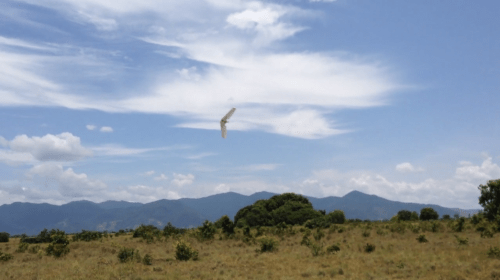 Screen Shot 2015-02-05 at 10.09.10 AM