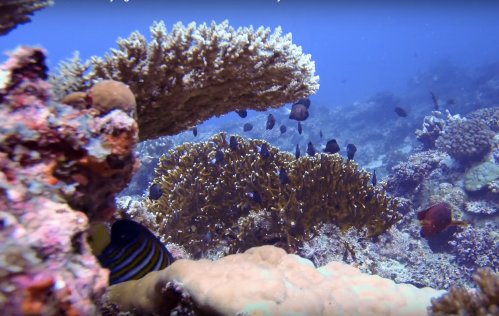 Screenshot 2018-03-27 22.11.44