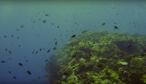 Screenshot 2018-03-27 22.33.02