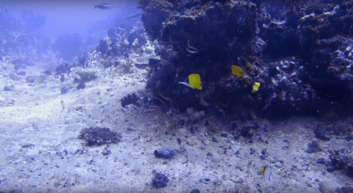 Screenshot 2018-03-27 22.38.00