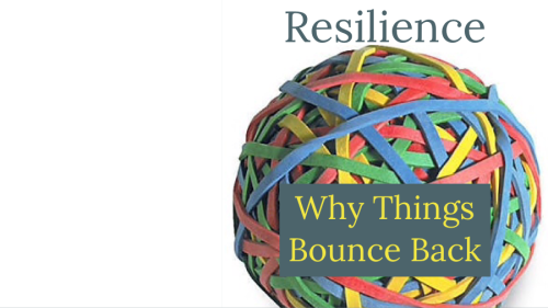 ResilienceBook