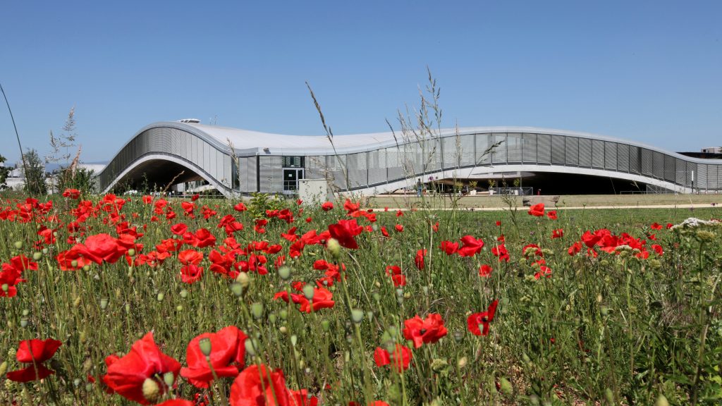 Rolex-Learning-Center-coquelicot-1024x576