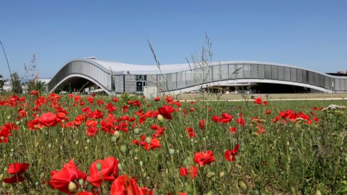 Rolex-Learning-Center-coquelicot-1024x576