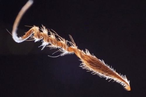 Screen Shot 2023-06-12 at 18.20.09